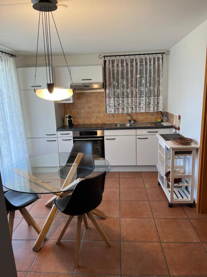 Green View Apartments Tenero-Contra Екстер'єр фото
