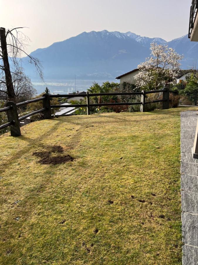 Green View Apartments Tenero-Contra Екстер'єр фото